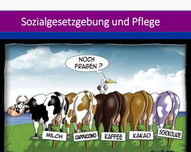 Sozialgesetzgebung in der Pflege Teil 1