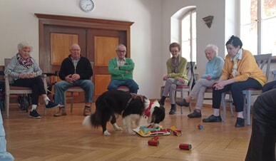 Besuchshunde bereichern die Tagespflege
